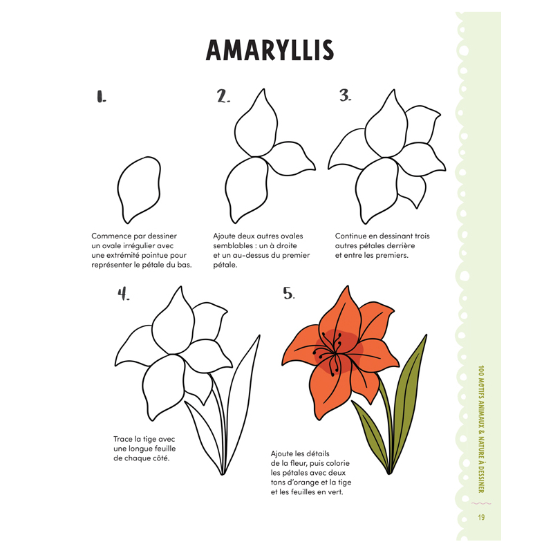 100 motifs animaux & nature à dessiner Livre Jeunesse
