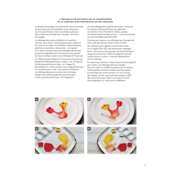 Planches & secrets d'artistes : Cafés fleuris Livre Beaux-arts