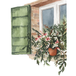 Planches & secrets d'artistes : Cafés fleuris Livre Beaux-arts