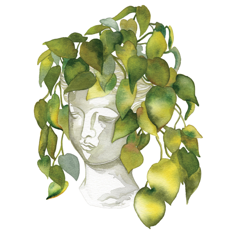 Planches & secrets d'artistes : Cafés fleuris Livre Beaux-arts