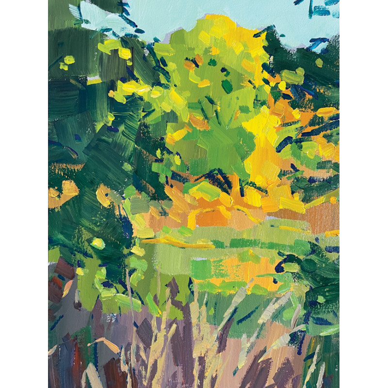 Le guide ultime de l'acrylique : Techniques & astuces pour perfectionner votre art Livre Beaux-arts