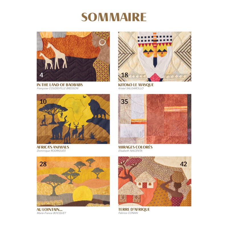 L'Afrique en patchwork - 10 quilts inédits Livre Patchwork