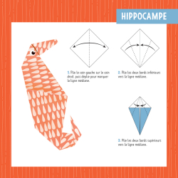 88 Origami Arc-en-ciel Spécial enfants Livre Jeunesse