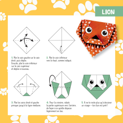 88 Origami Animaux sauvages Spécial enfants Livre Jeunesse