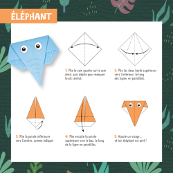 88 Origami Animaux sauvages Spécial enfants Livre Jeunesse