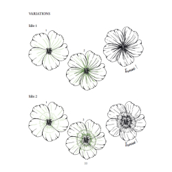 Dessiner la flore et la faune Livre Beaux-arts