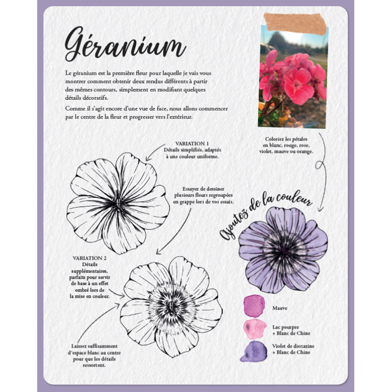 Dessiner la flore et la faune Livre Beaux-arts