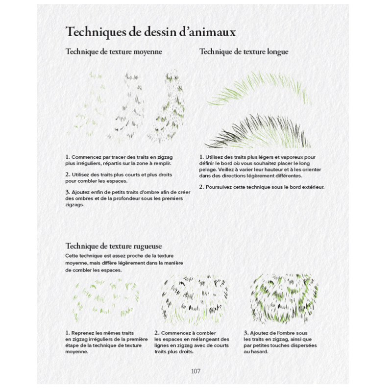 Dessiner la flore et la faune Livre Beaux-arts