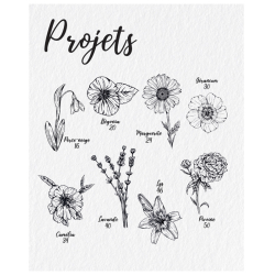 Dessiner la flore et la faune Livre Beaux-arts