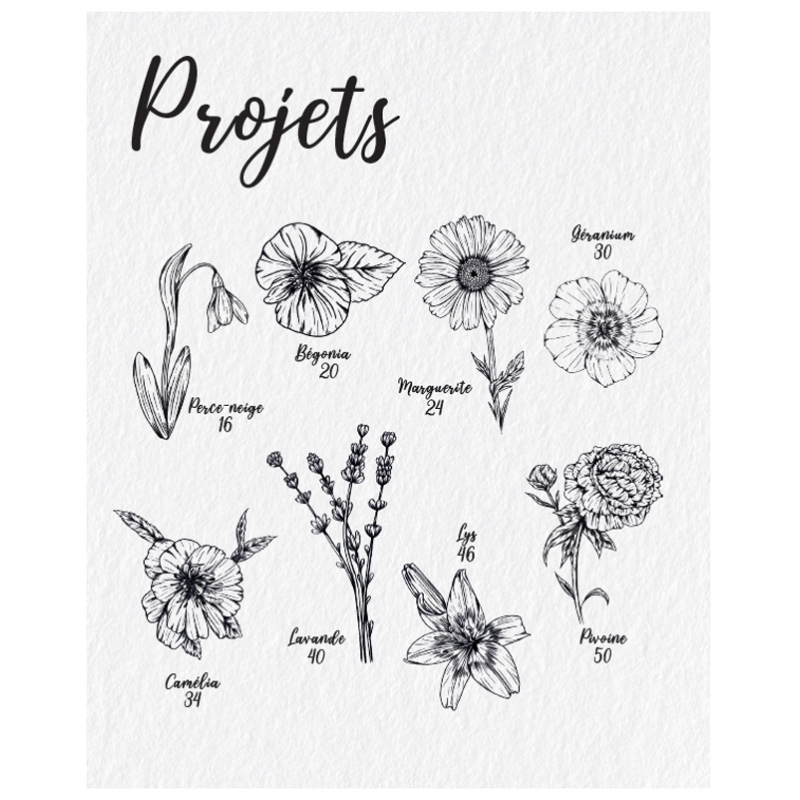 Dessiner la flore et la faune Livre Beaux-arts