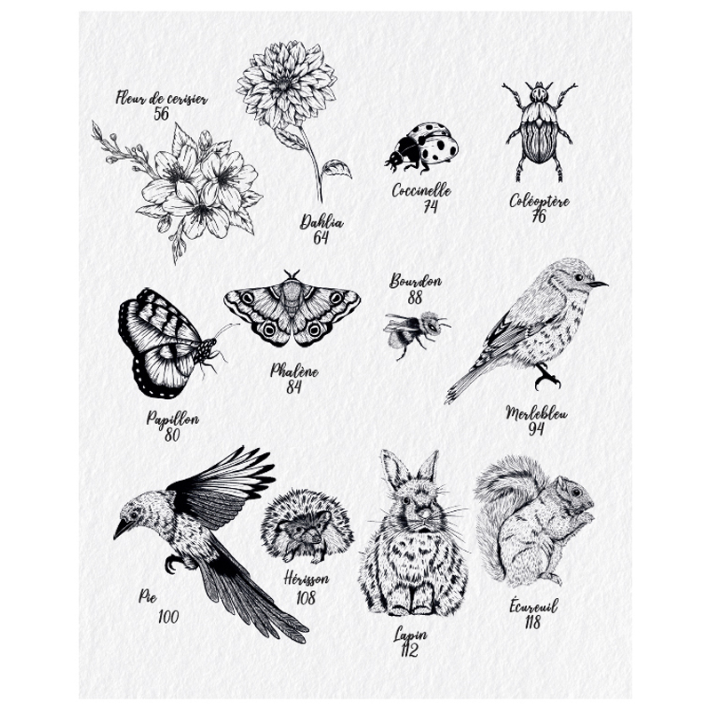 Dessiner la flore et la faune Livre Beaux-arts