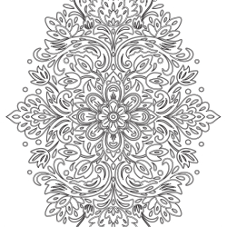 Mandalas - Version Collector - Coloriages pour me détendre Livre Beaux-arts