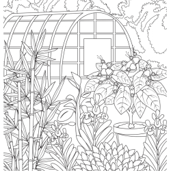 Jardin rêvé - Version Collector - Coloriages pour me détendre Livre Beaux-arts