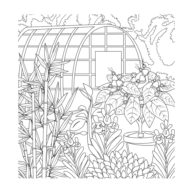 Jardins rêvés - Version Collector - Coloriages pour me détendre Livre Beaux-arts
