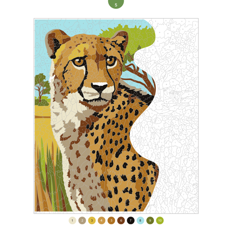 Coloriages mystères - Animaux sauvages Livre Beaux-arts