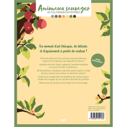 Coloriages mystères - Animaux sauvages Livre Beaux-arts