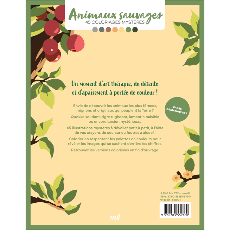 Coloriages mystères - Animaux sauvages Livre Beaux-arts