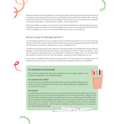 Paysages enchantés - 45 coloriages mystères Livre Beaux-arts