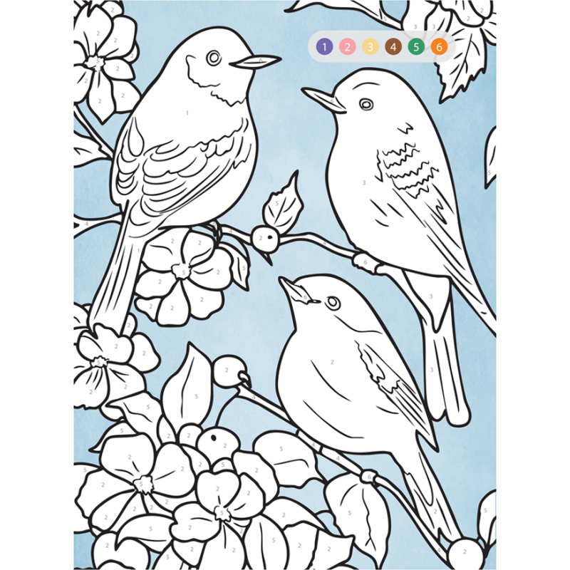 Mon gros livre de coloriage pour s'amuser partout, tout le temps - 7-9 ans Livre Jeunesse