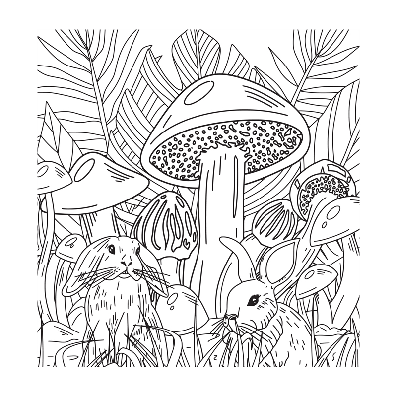 Promenade en forêt - Coloriages pour me détendre Livre Beaux-arts
