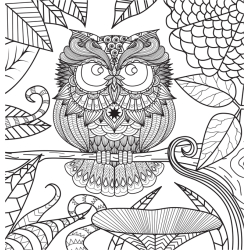 Promenade en forêt - Coloriages pour me détendre Livre Beaux-arts