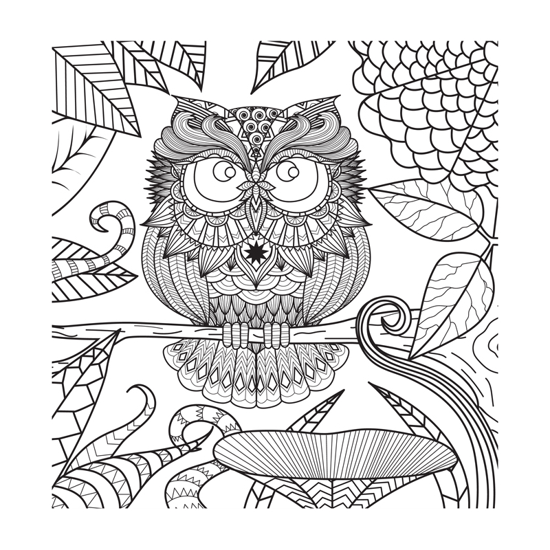 Promenade en forêt - Coloriages pour me détendre Livre Beaux-arts