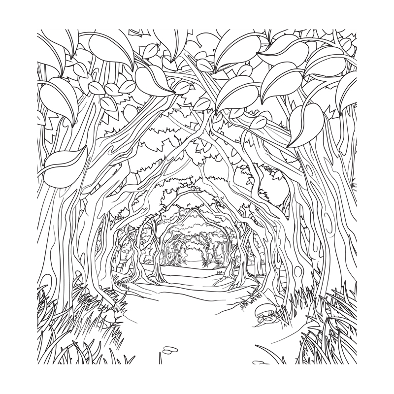 Promenade en forêt - Coloriages pour me détendre Livre Beaux-arts