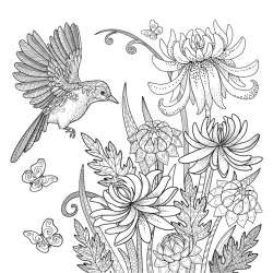Vols d'oiseaux - Coloriages pour me détendre Livre Beaux-arts
