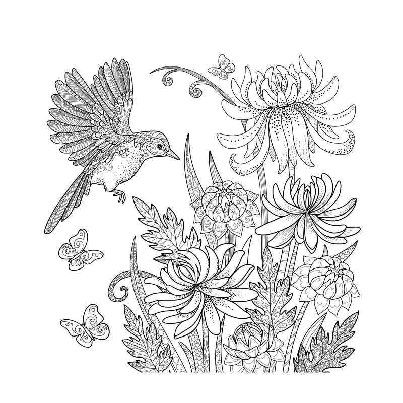 Vols d'oiseaux - Coloriages pour me détendre Livre Beaux-arts