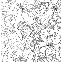 Vols d'oiseaux - Coloriages pour me détendre Livre Beaux-arts