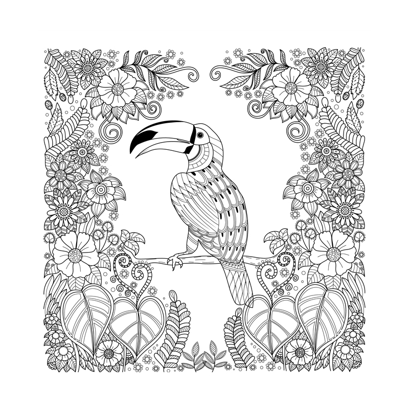 Vols d'oiseaux - Coloriages pour me détendre Livre Beaux-arts