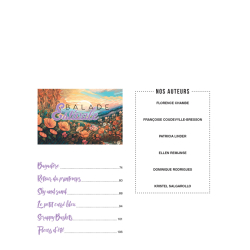 Magic patch n°154 : Promenade quiltée Livre Patchwork