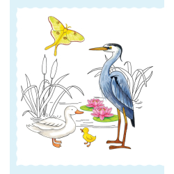 Adorables mignonneries à dessiner pas à pas Livre Jeunesse