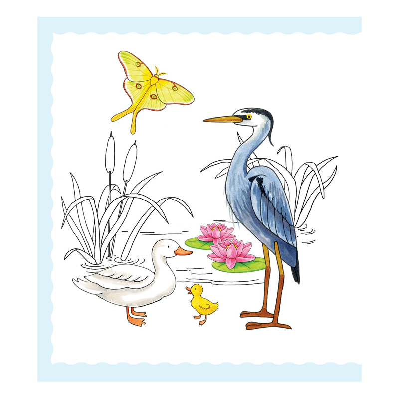 Adorables mignonneries à dessiner pas à pas Livre Jeunesse