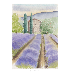 Planches et secrets d'artistes : La côte d'azur à l’aquarelle Livre Beaux-arts