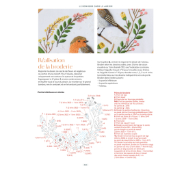 Mes jolis transferts brodés : Oiseaux brodés Livre Broderie