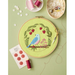 Mes jolis transferts brodés : Oiseaux brodés Livre Broderie