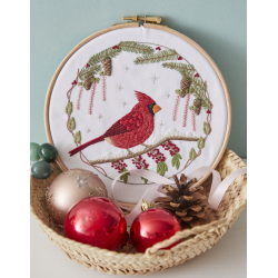 Mes jolis transferts brodés : Oiseaux brodés Livre Broderie
