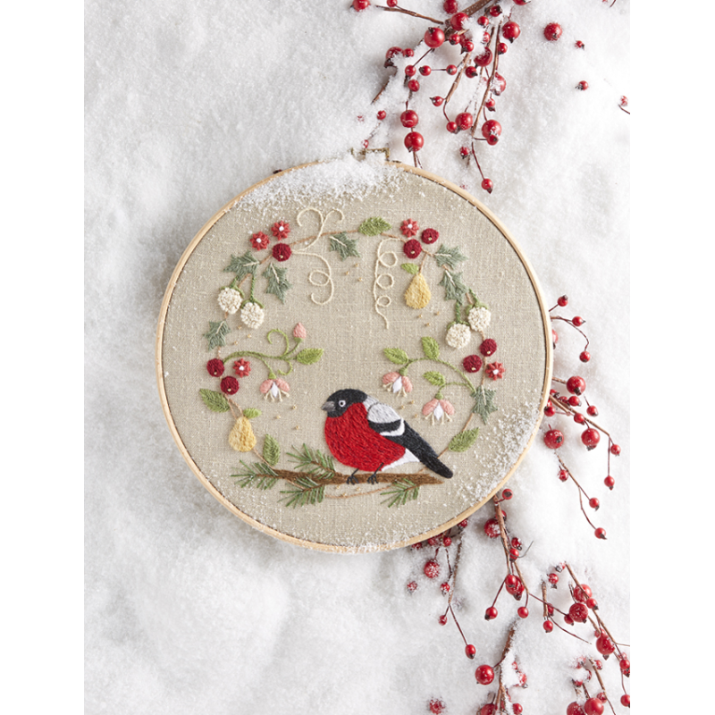 Mes jolis transferts brodés : Oiseaux brodés Livre Broderie