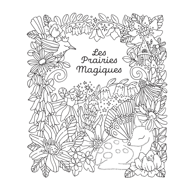Royaume fantastique à colorier - Un voyage créatif en 100 illustrations Livre Beaux-arts