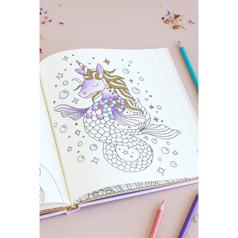 Royaume fantastique à colorier - Un voyage créatif en 100 illustrations Livre Beaux-arts