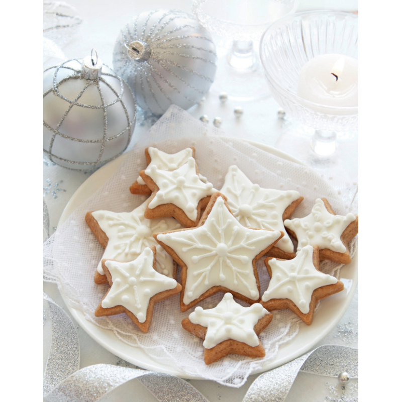 Coffret - Mes petits biscuits de fête Kit DIY