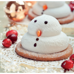 Coffret - Mes petits biscuits de fête Kit DIY