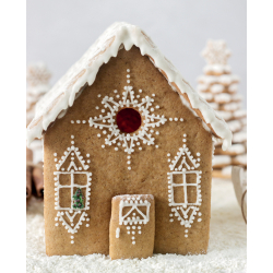 Coffret - Mes petits biscuits de fête Kit DIY