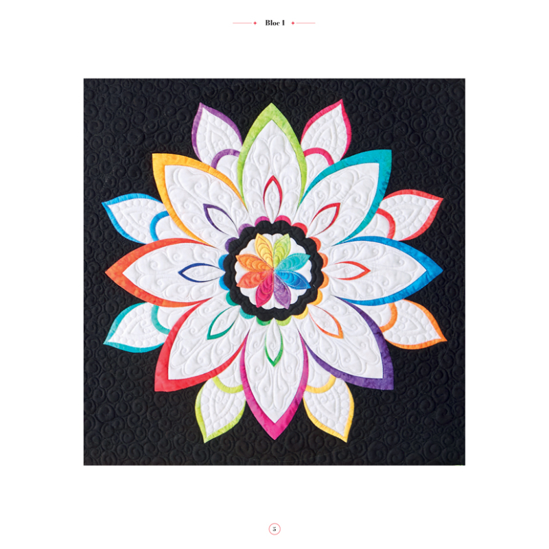 Quilt mystère - 11 blocs de patchwork contemporains Livre Patchwork