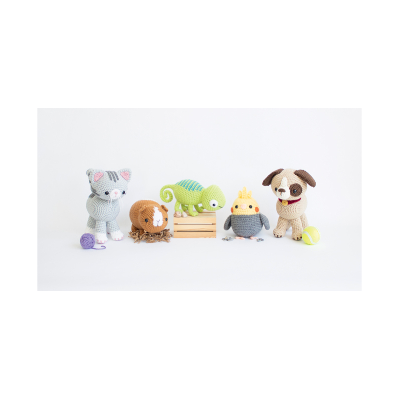 Amigurimi animaux ultra-faciles Livre Crochet