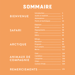 Amigurimi animaux ultra-faciles Livre Crochet