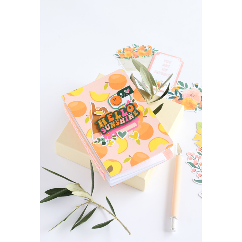 Apprendre en 10 leçons : Apprendre le scrapbooking Livre DIY
