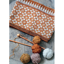 Tricot jacquard - 17 modèles dont 12 cardigans et leurs déclinaisons Livre Tricot