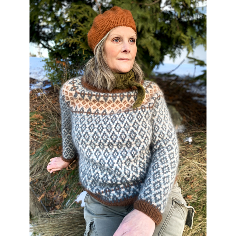 Tricot jacquard - 17 modèles dont 12 cardigans et leurs déclinaisons Livre Tricot